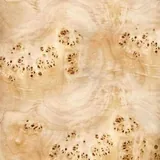 UV Lac 8031